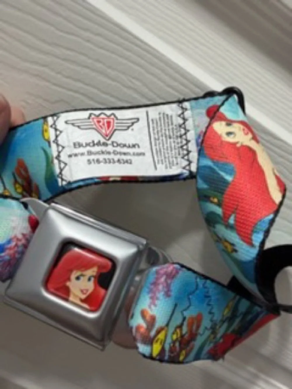 Buckle-Down Ariel Seatbelt Strap in Red & Aqua